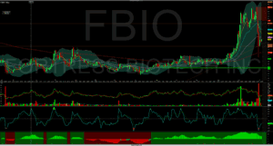 FBO operazioni di trading online, analisi grafici e strategie di investimento.