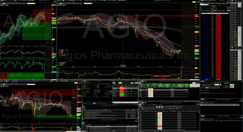 Medved Trader platform dashboard